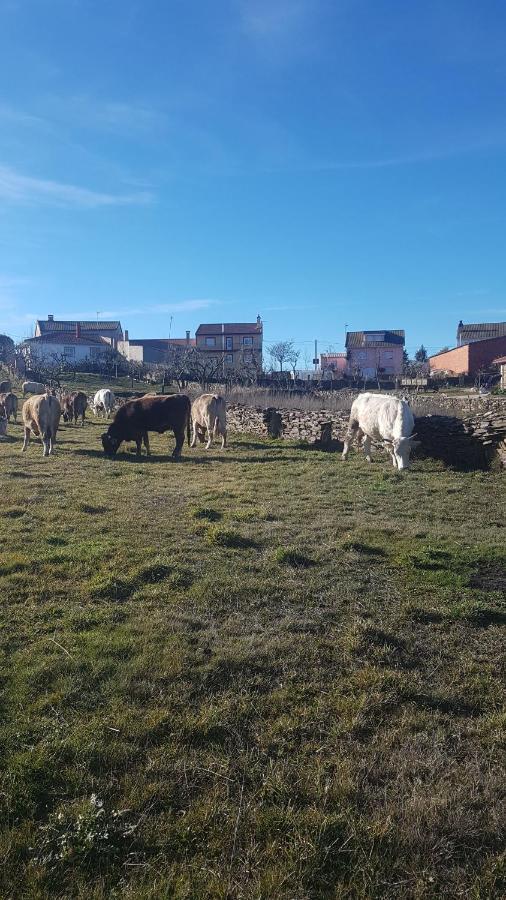 Albergue Agustina Samir de los Canos Экстерьер фото